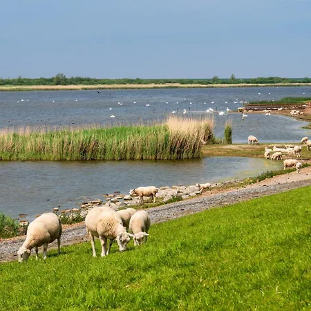 Kuschelnest - Tossens Dom wakacyjny
