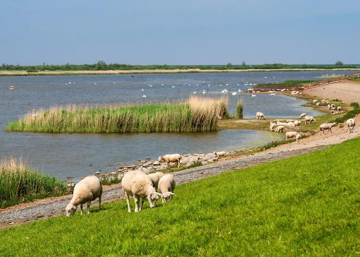 Kuschelnest - Nyaraló *